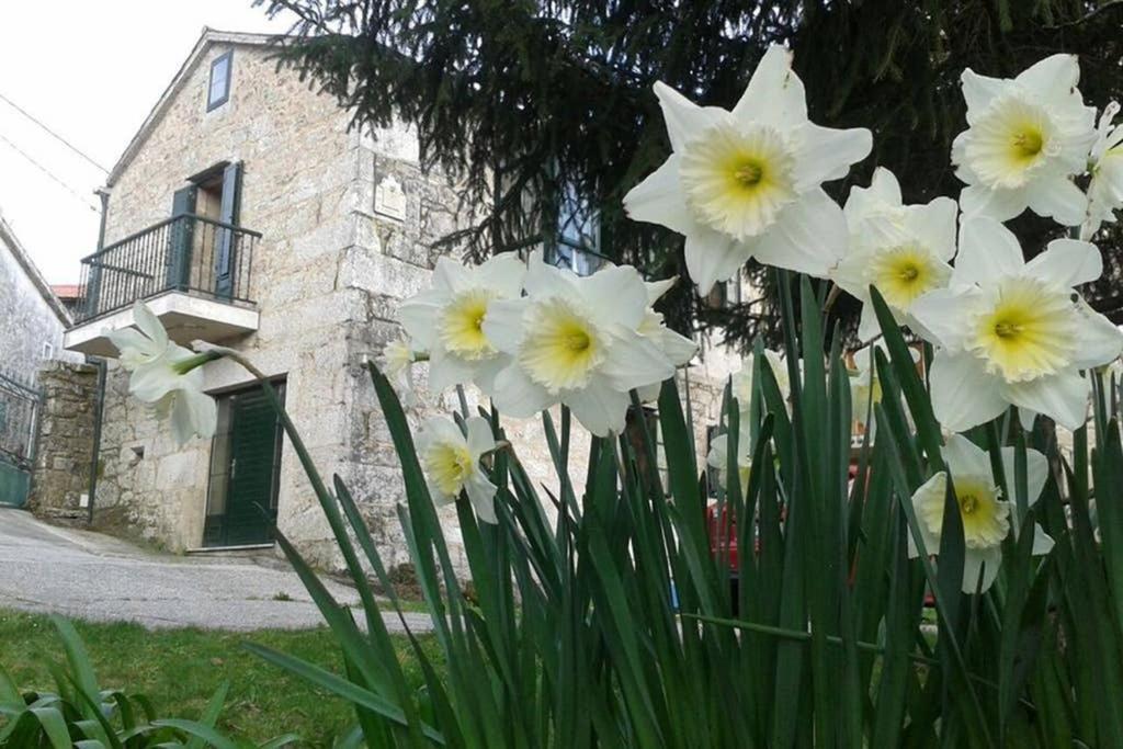 Вилла Casa Da Labaceira Киреса Экстерьер фото